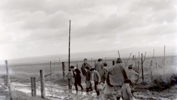 ינואר 1960-פיטריות אחרי הגשם