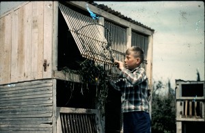 איתן קלנר במשק הילדים