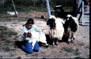 במשק הילדים