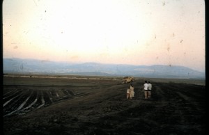 בניית המאגר