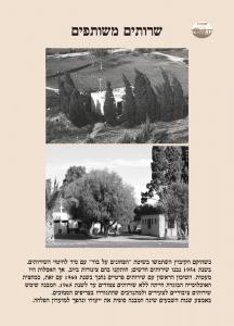 שרותים משותפים-חברה