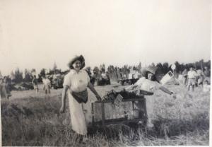 שבועות ובאת ביכורים 1950-1979