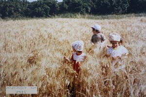 חג הביכורים 1980-1999