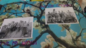 IMG 20160407 141336538  