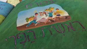 IMG 20160407 142349482   