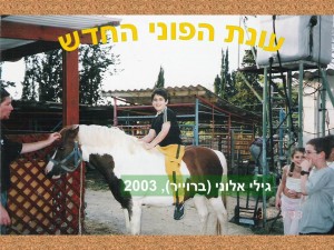 שקופית82