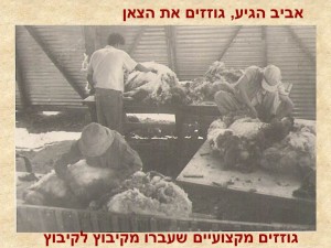 שקופית7 