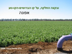שקופית26