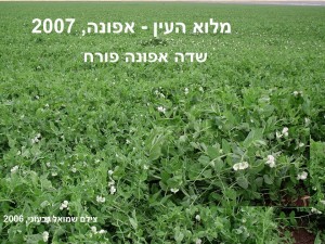 שקופית27