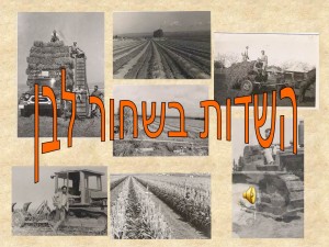 שקופית38