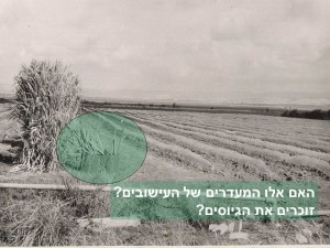 שקופית41