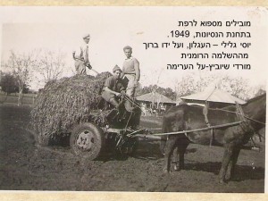 שקופית43