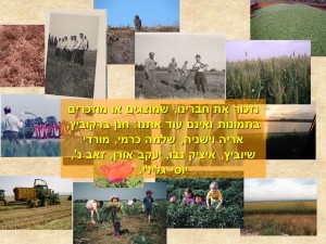 שקופית53
