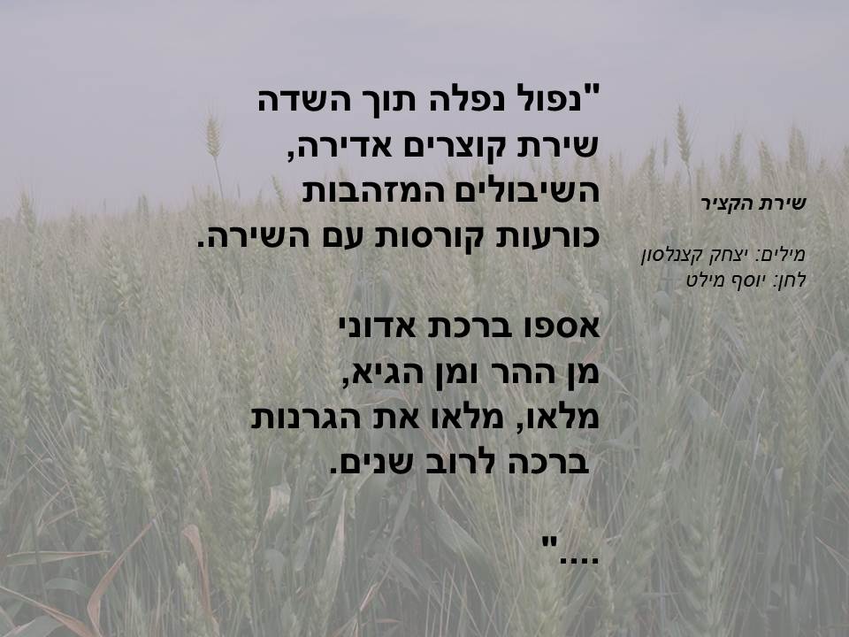שקופית1