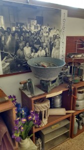 IMG 20160401 141957757 HDR 