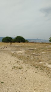 IMG 20160513 110446626