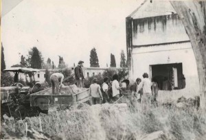 גיוס הח"ץ 1979