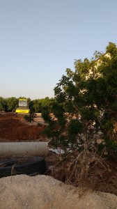 האבוקדו מפנה מקום לשכונה