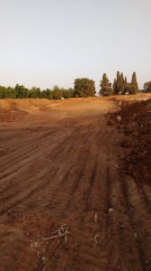 מגרשים שכונת הבנים