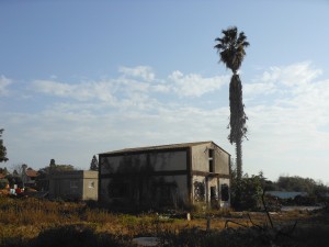 הרפת הגרמני