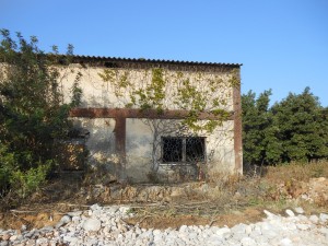 הרפת הגרמני