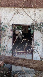 רפת הגרמנית 2016