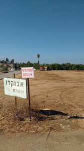 מגרשים שכונת הבנים