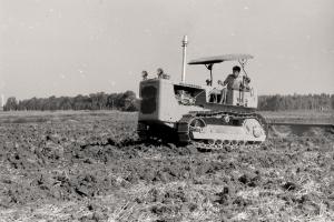 סריקות צלומים 