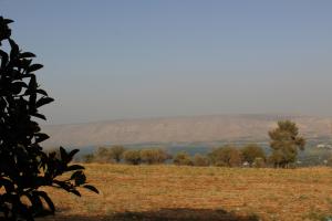 טיול מזמר פנסיונרים 25.07.2018