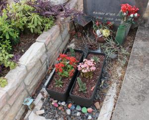 טיול מזמר פנסיונרים 25.07.2018