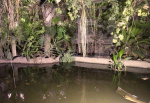 טיול מזמר פנסיונרים 25.07.2018